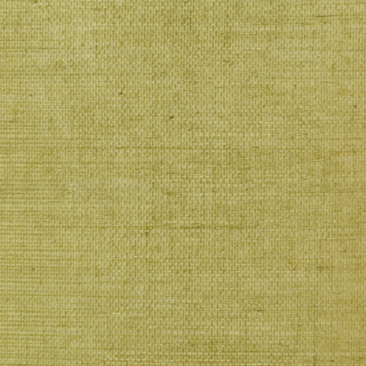 Sisal - Celery  Nc07