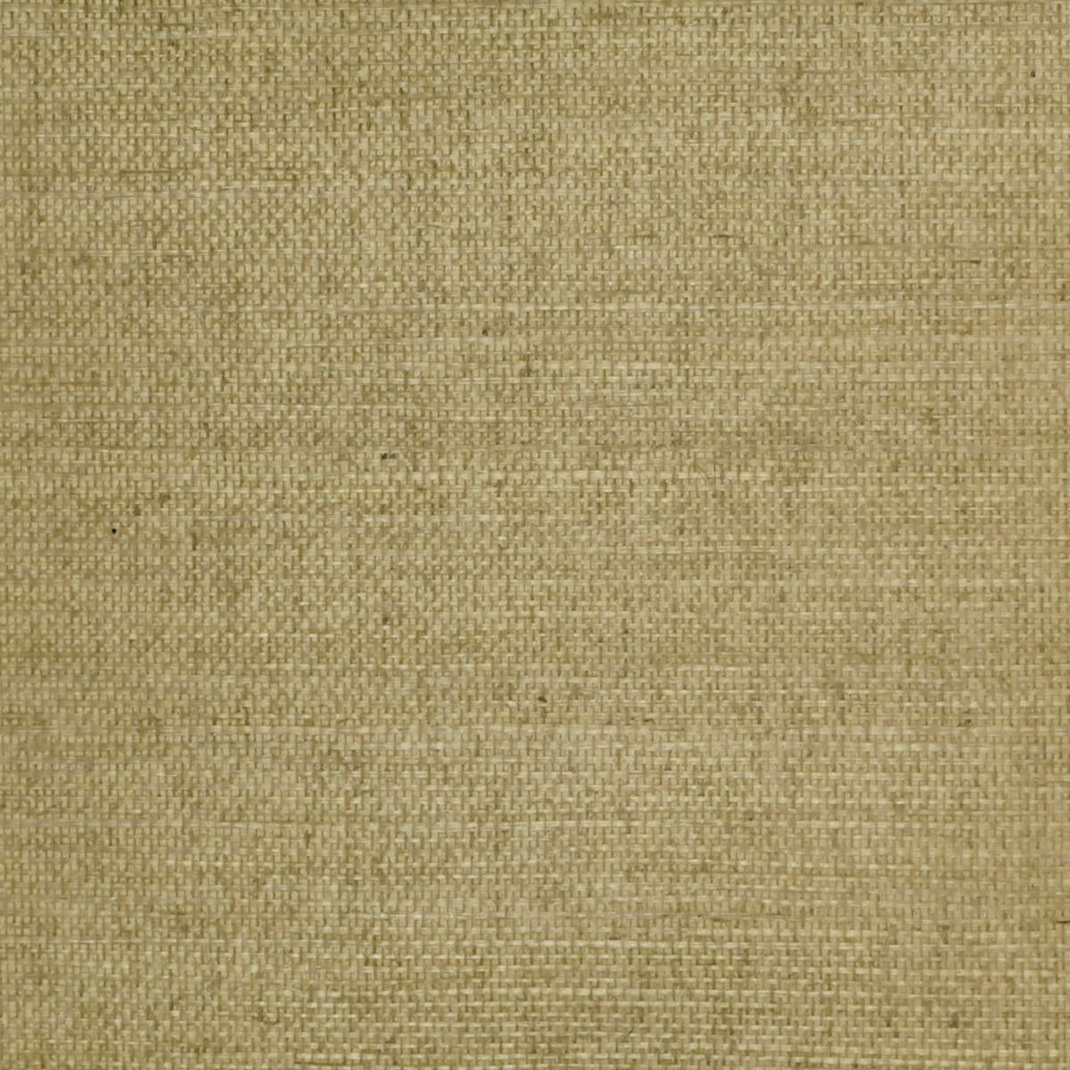 Sisal - Grey  Nc07