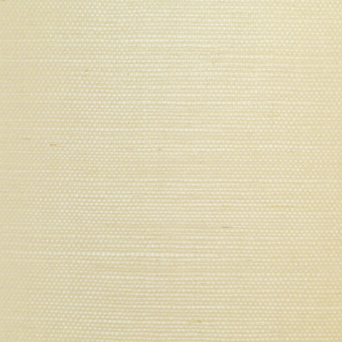 Sisal - Ecru    Nc10