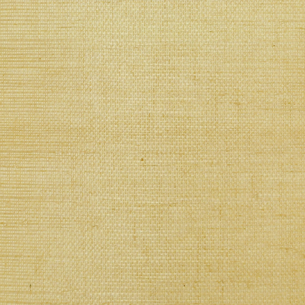 Sisal - Beige