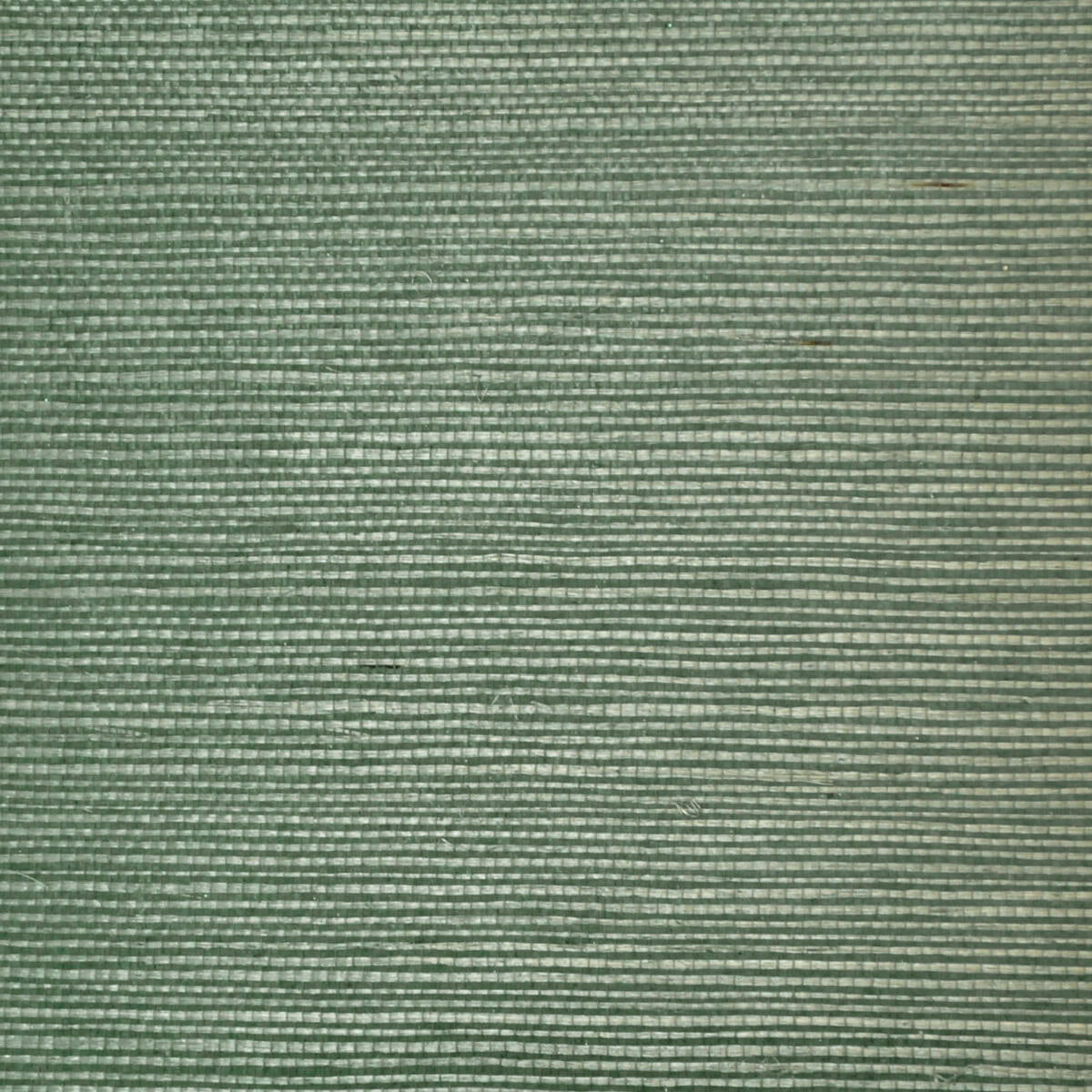 Sisal - Blue Gray  Nc10