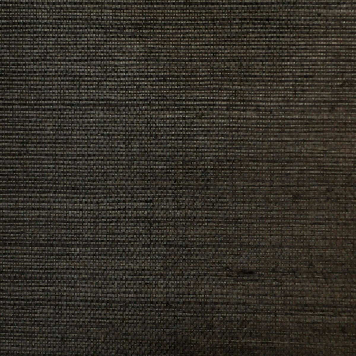 Sisal - Charcoal  Nc10