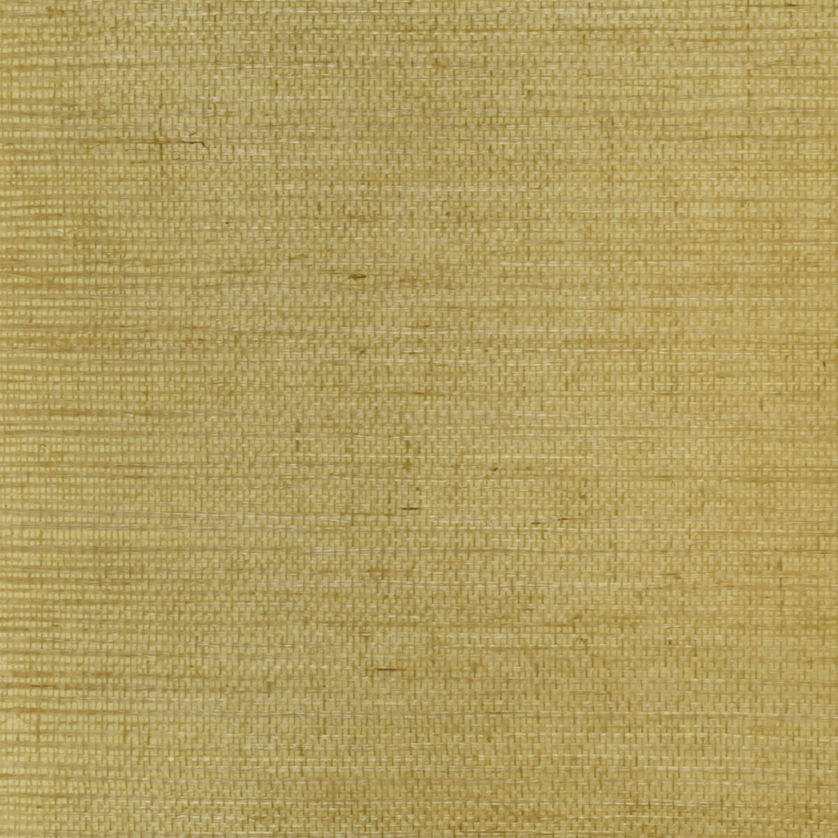 Sisal - Amber     Nc12