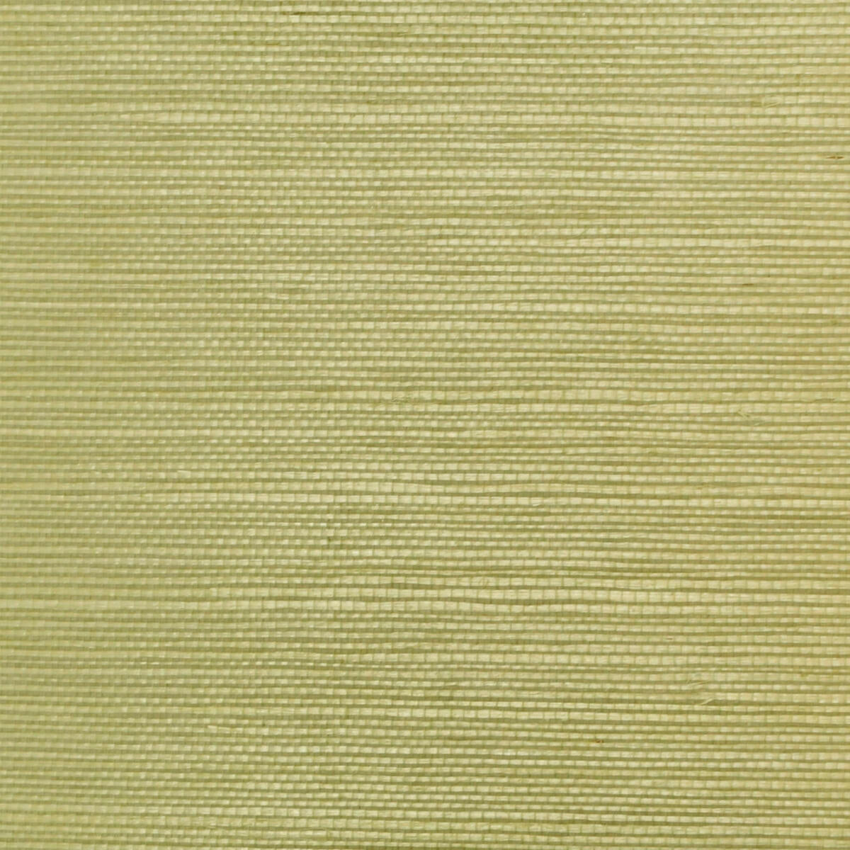 Sisal - Herb      Nc12