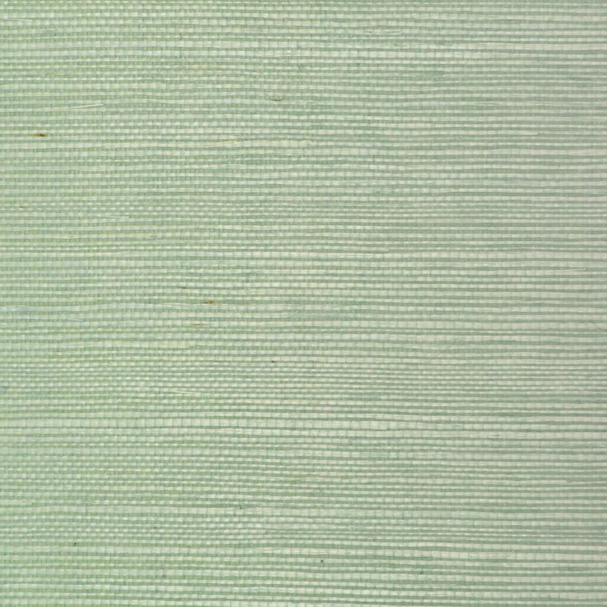 Sisal - Horizon    Nc12