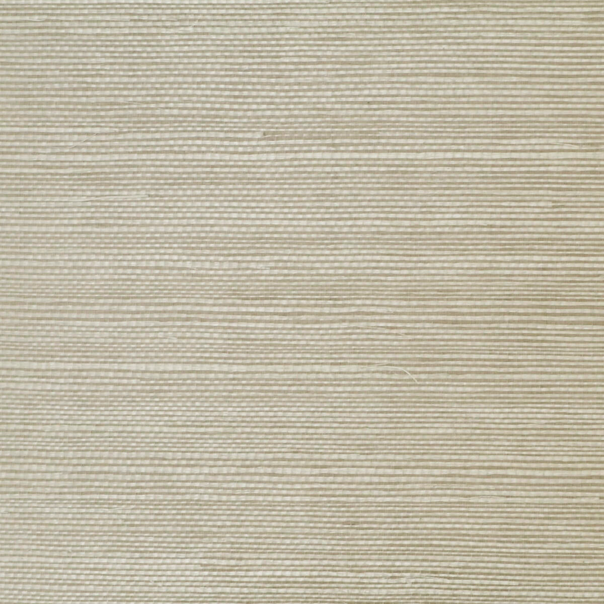 Sisal - Pale Grey    Nc12