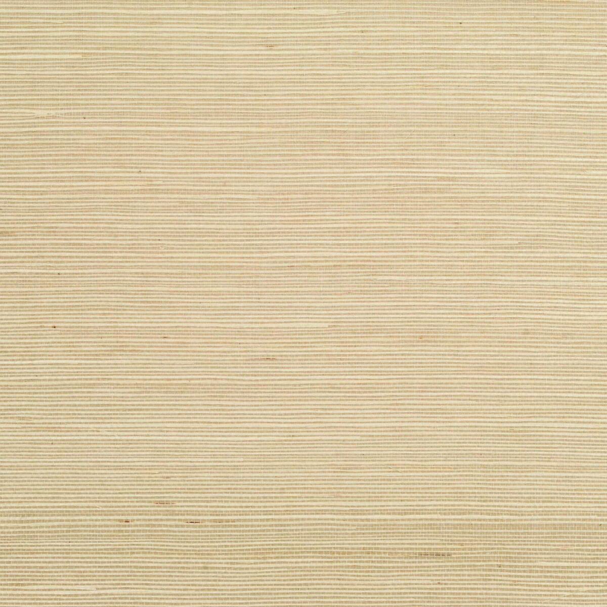 Sisal - Nougat   Nc18