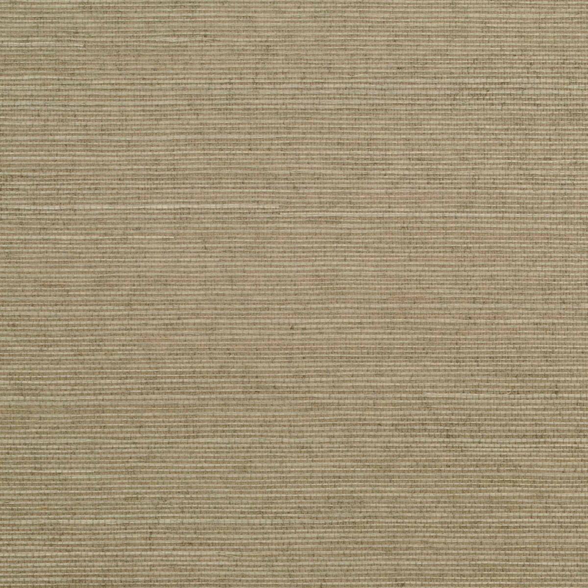 Sisal - Mocha   Nc18