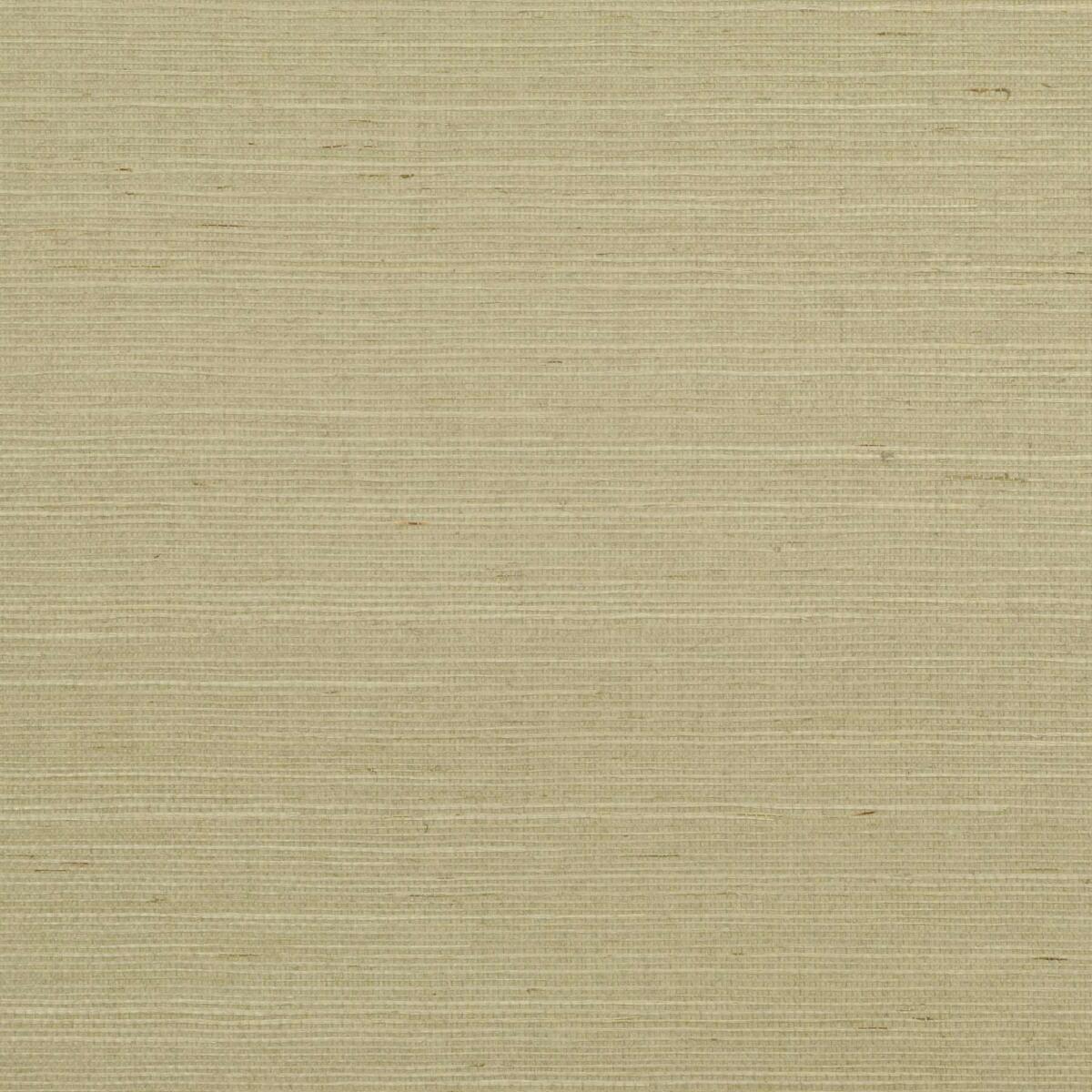 Sisal - Chanterelle  Nc18