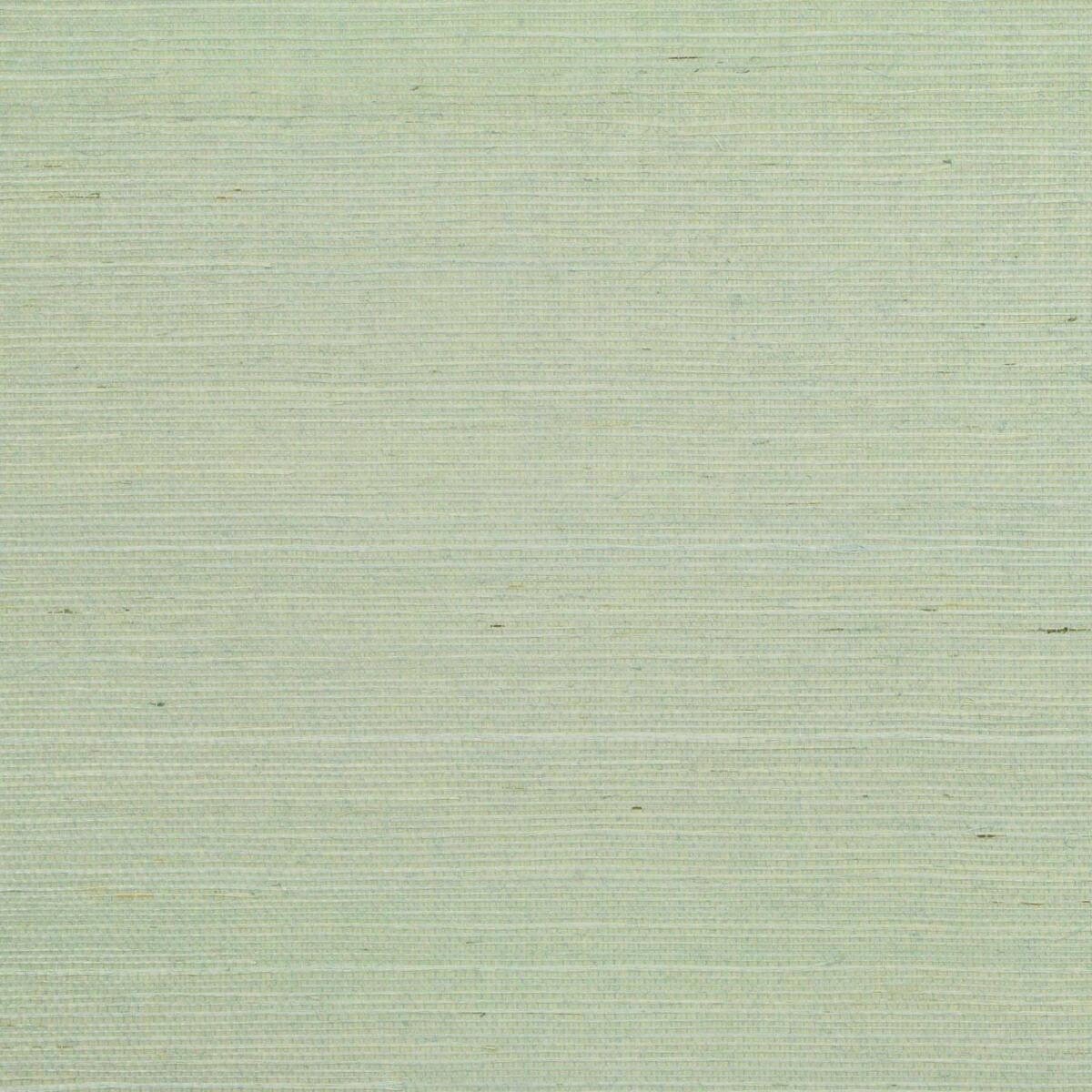 Sisal - Aqua   Nc18