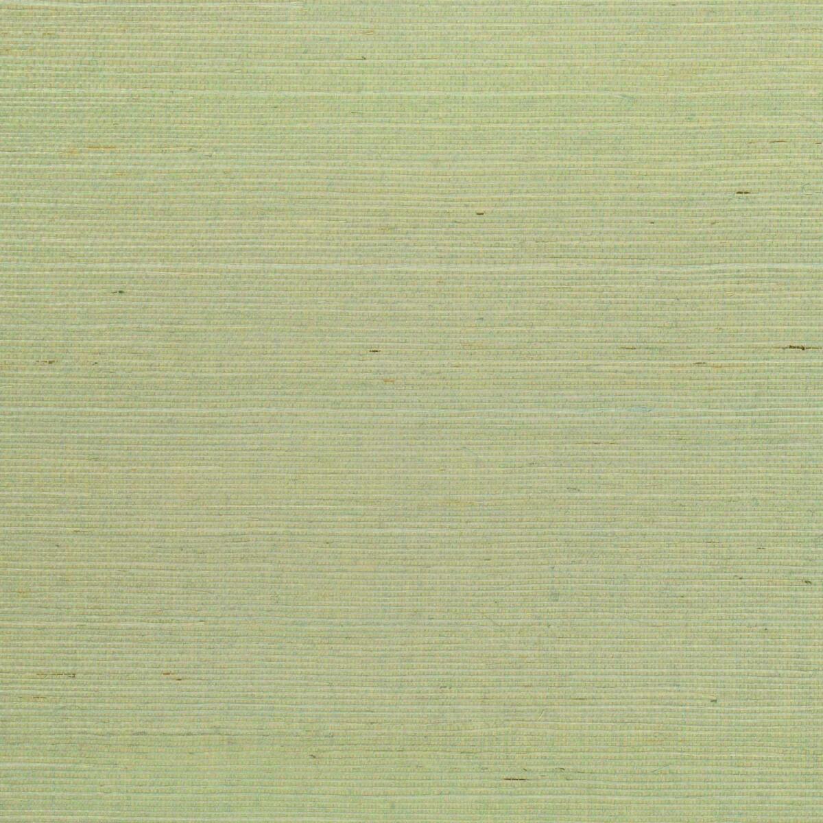 Sisal - Celadon   Nc18
