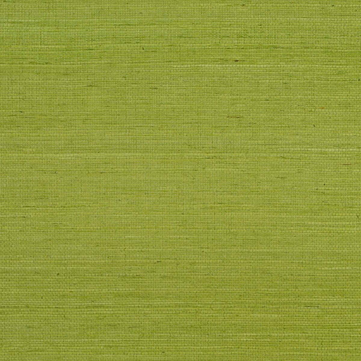 Sisal - Grass   Nc18