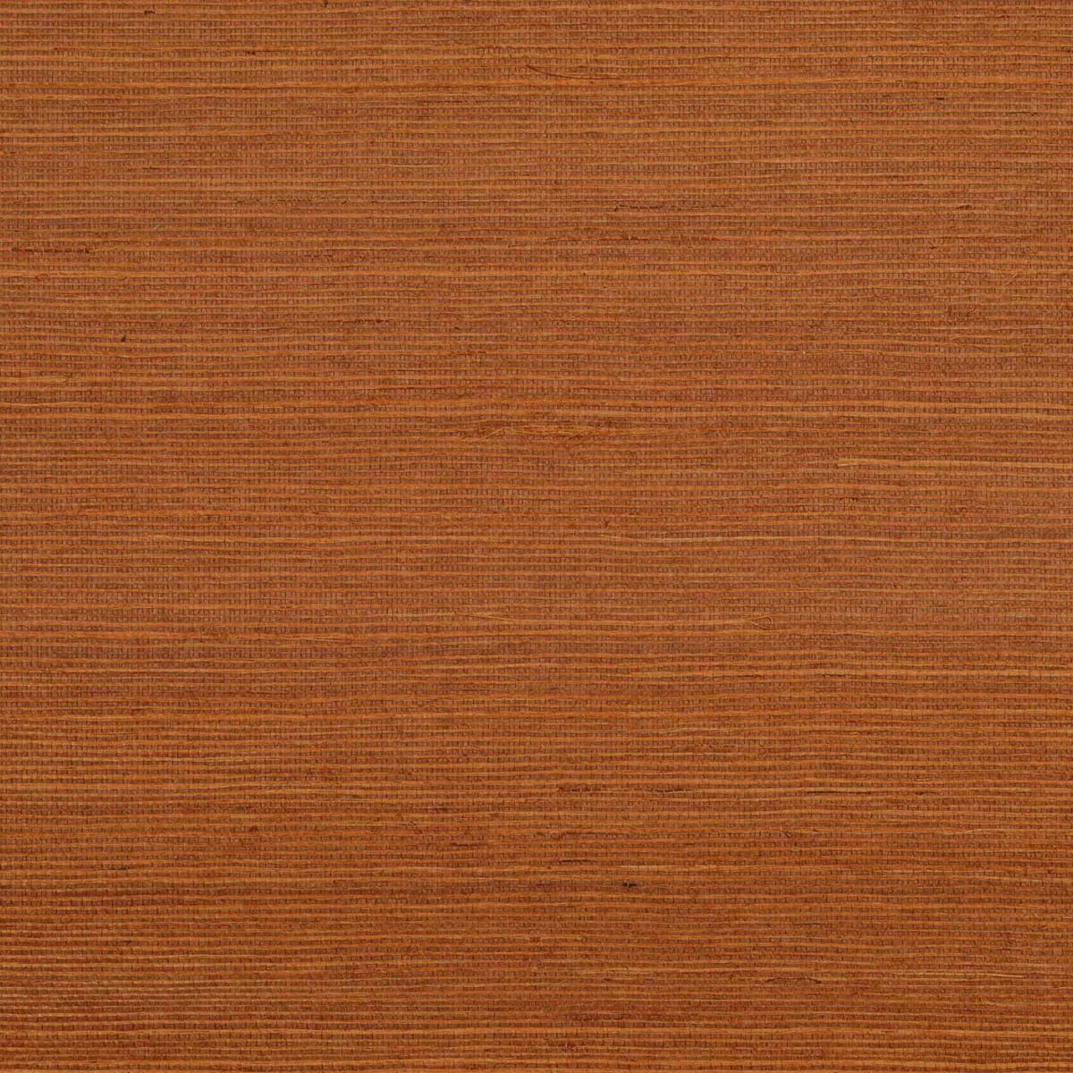 Sisal - Paprika   Nc18
