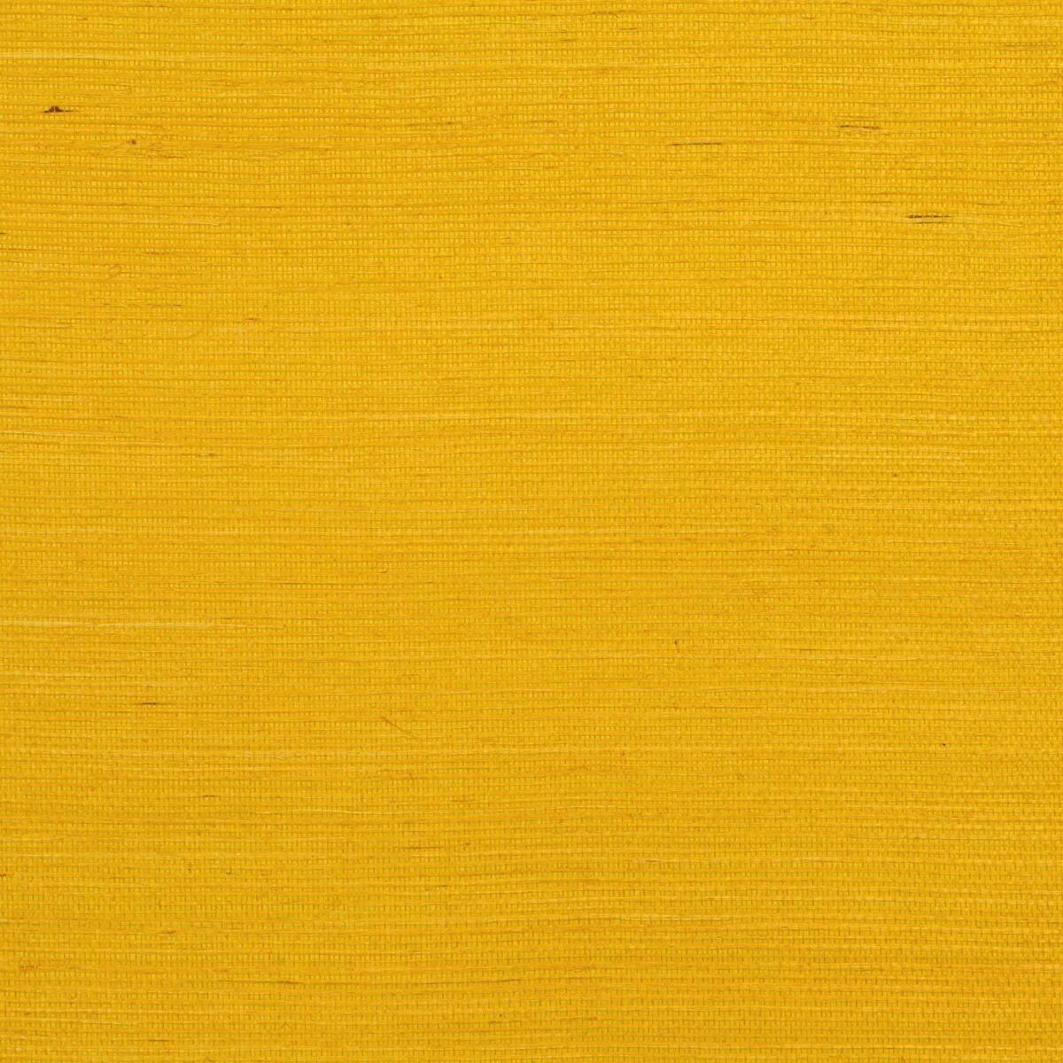 Sisal - Sunflower  Nc18