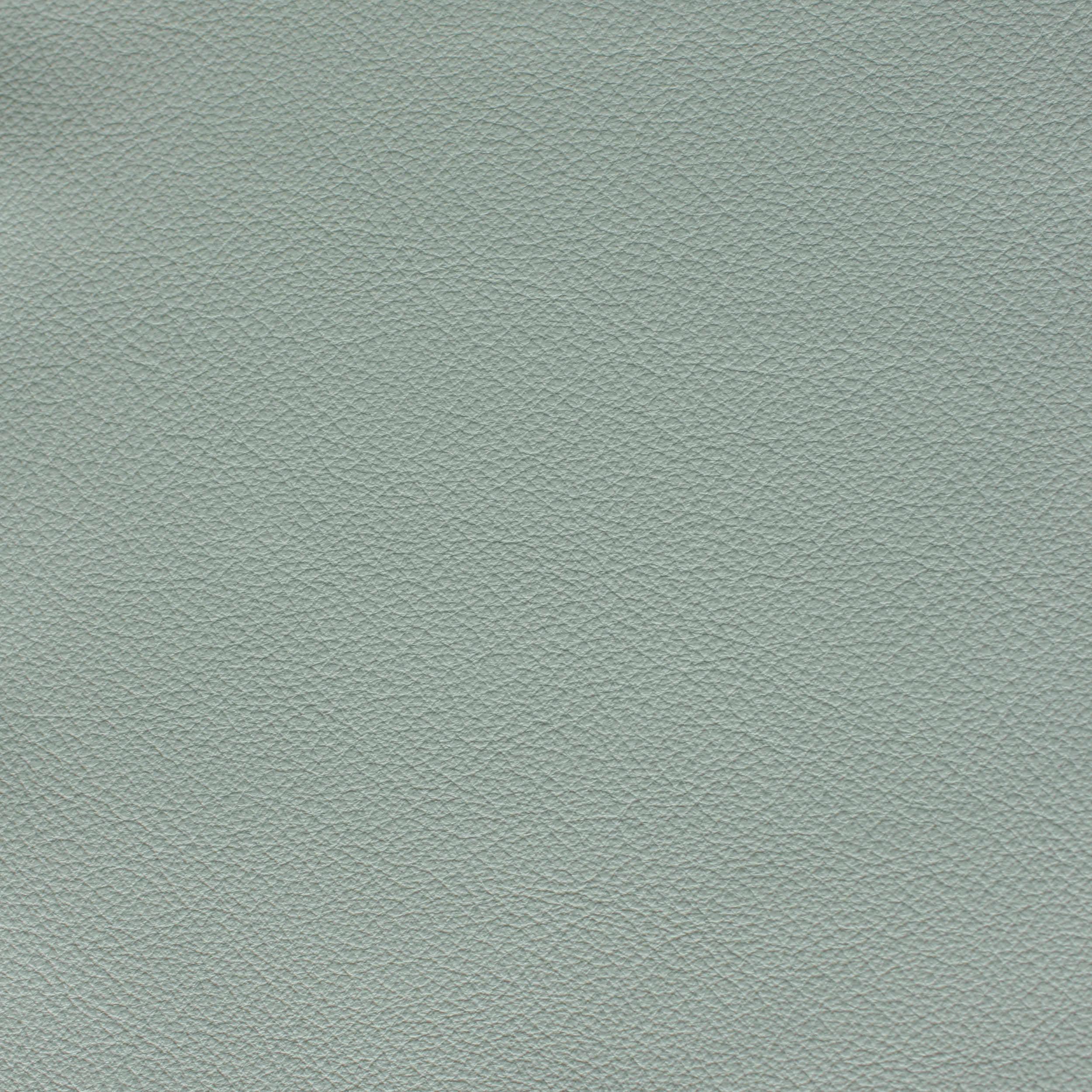 Desirabull - Alabaster