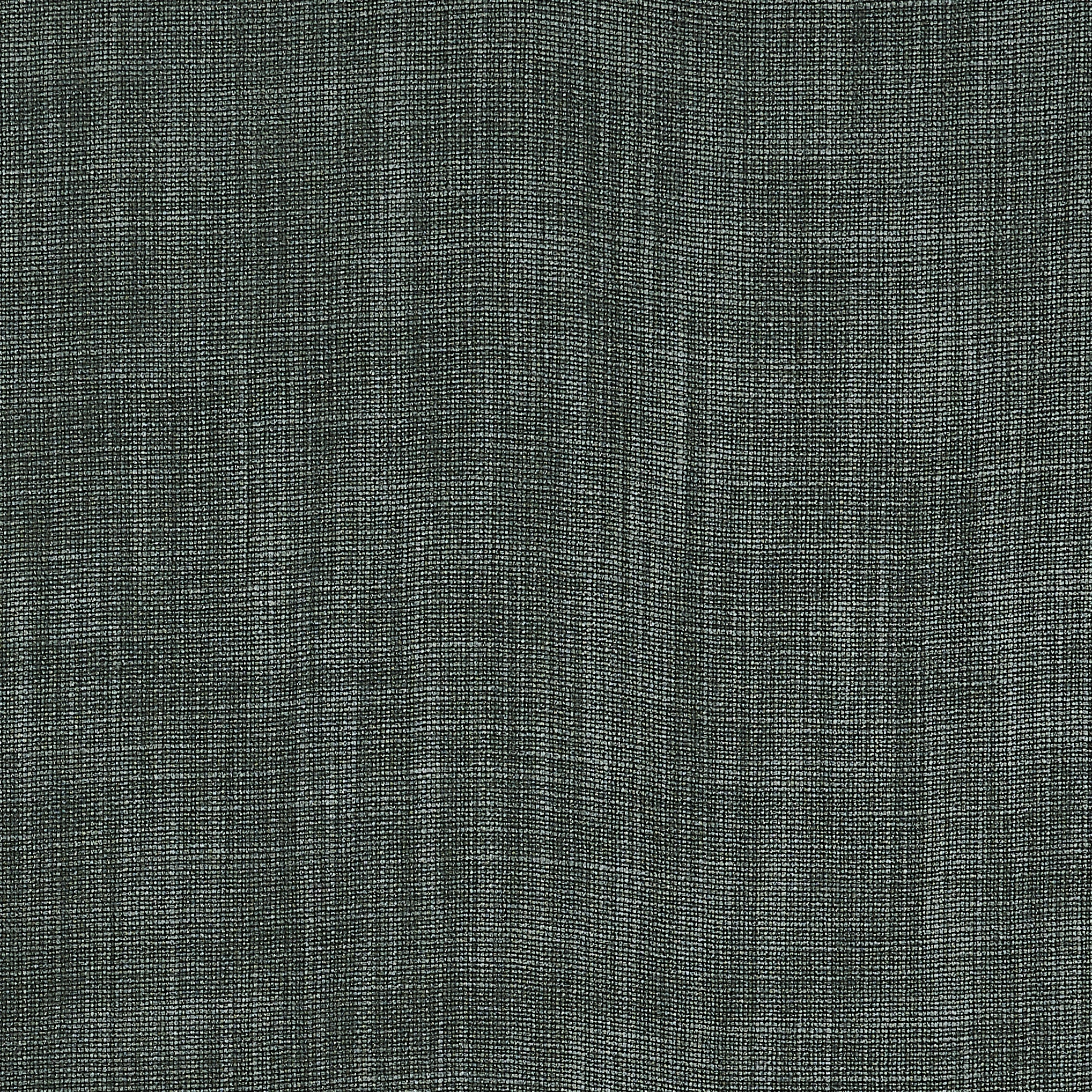 Ardennes - Santolina