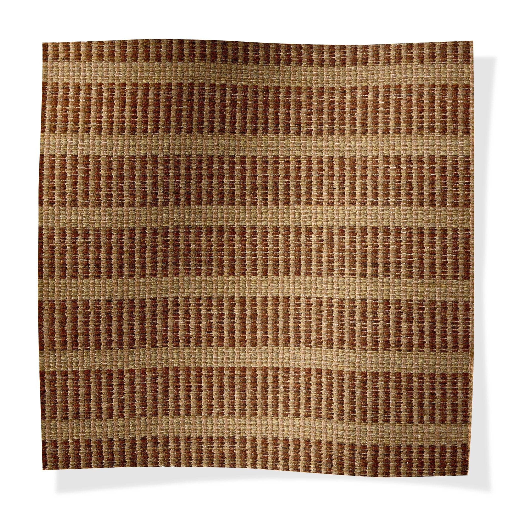 Linden Allée Copper Beech - Outdoor