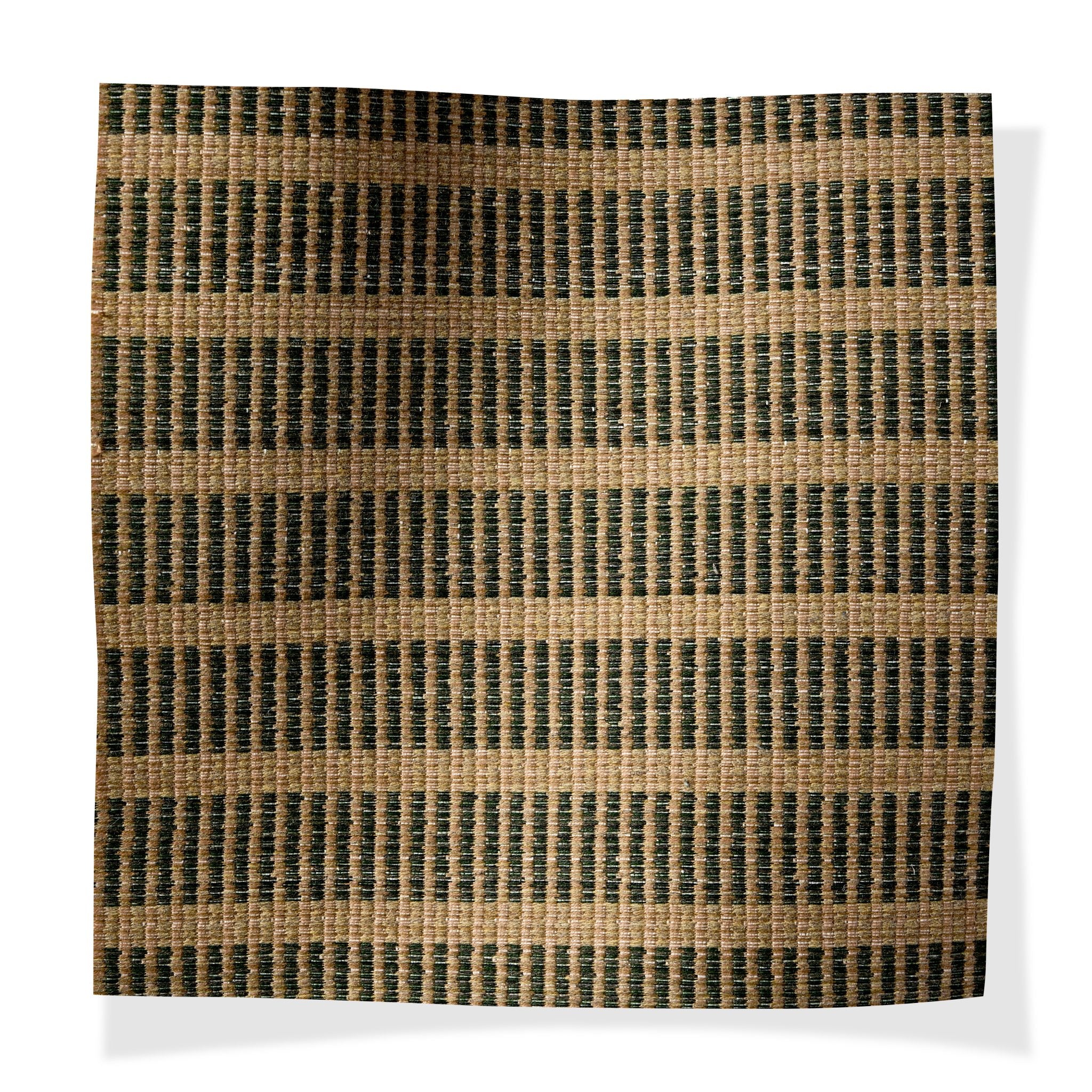 Linden Allée Hornbeam - Outdoor