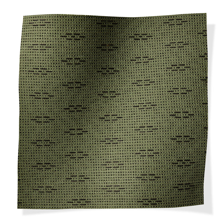 Mandrake Nightshade - Outdoor