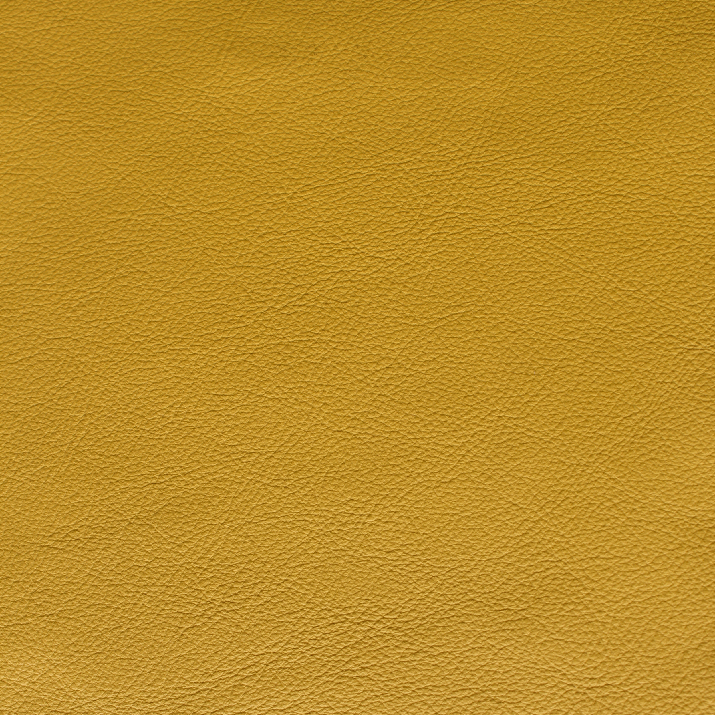 Desirabull - Sunflower