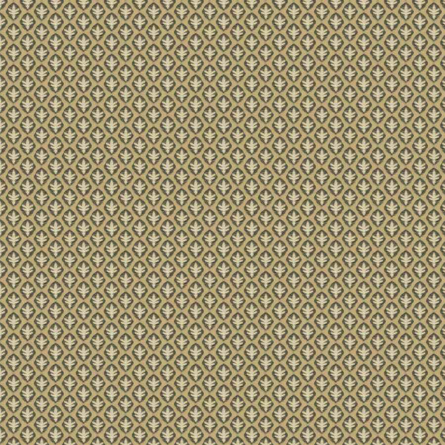 Piccolo Albero - Mica