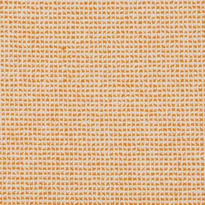 Palm Beach Grid - Apricot