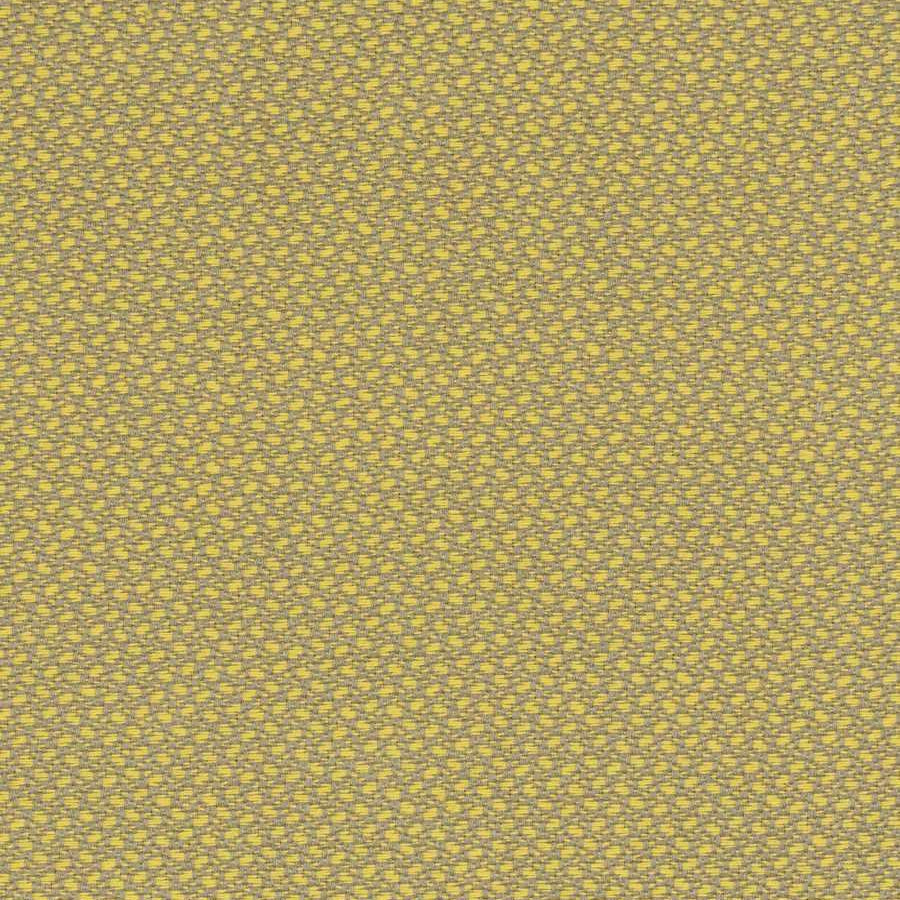 ODL Montauk - Yellowtone