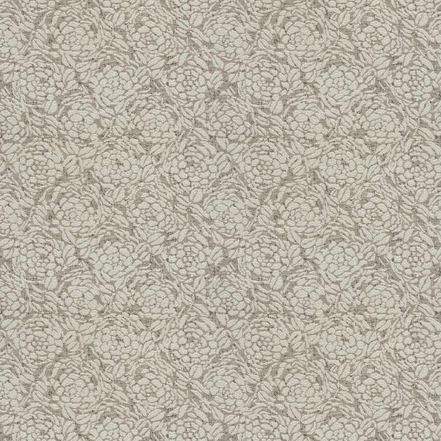 Winter Rose - Coconut