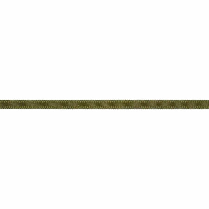 Vernier - Olive