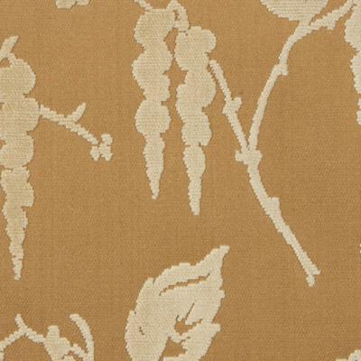 Wisteria Orientale - Old Parchment