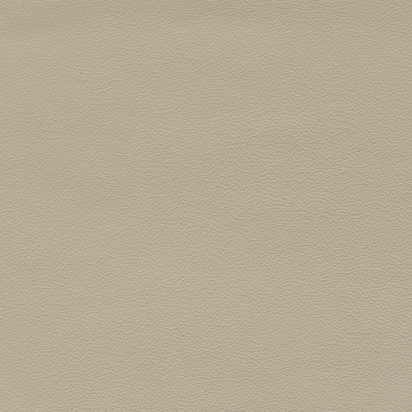 Desirabull - Oyster Shell