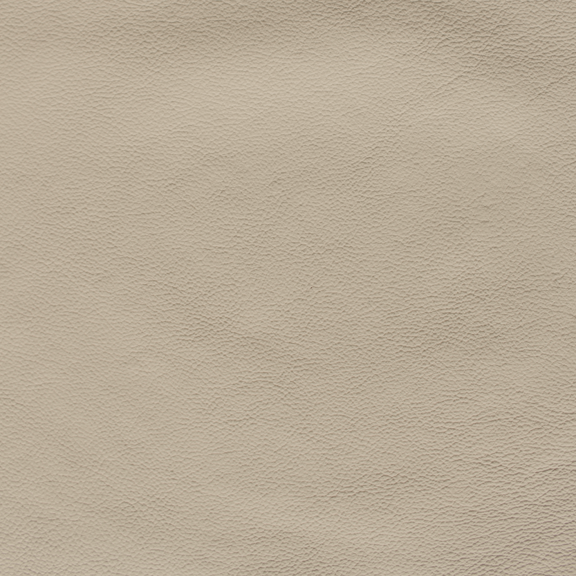 Desirabull - Parchment