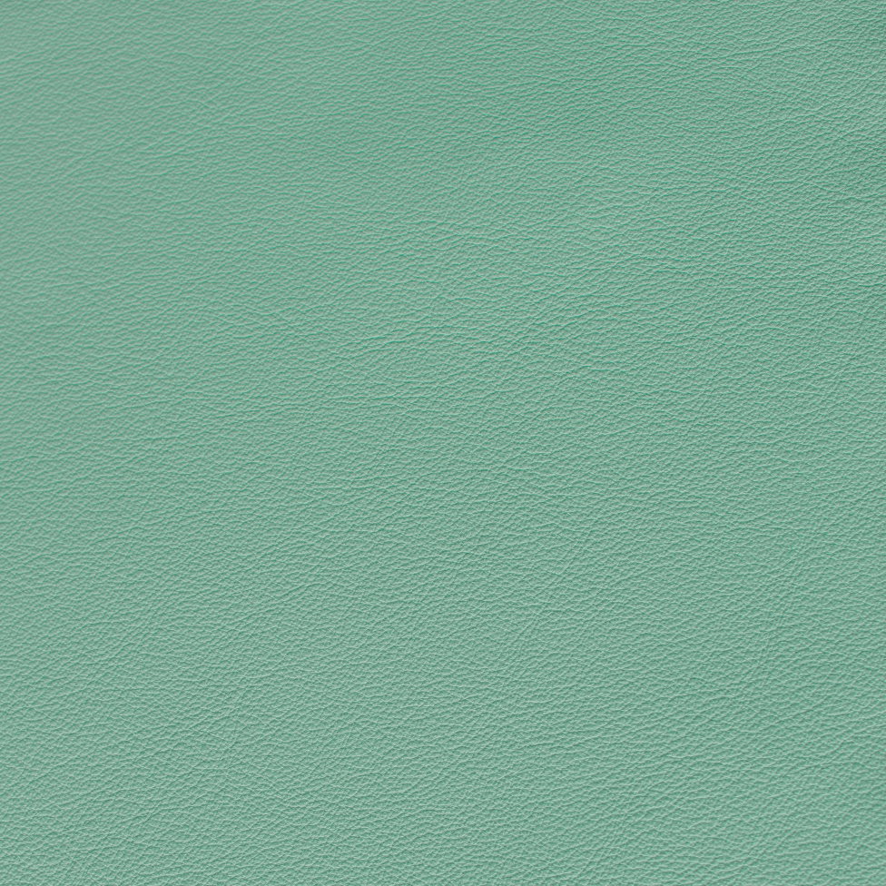 Desirabull - Tropics