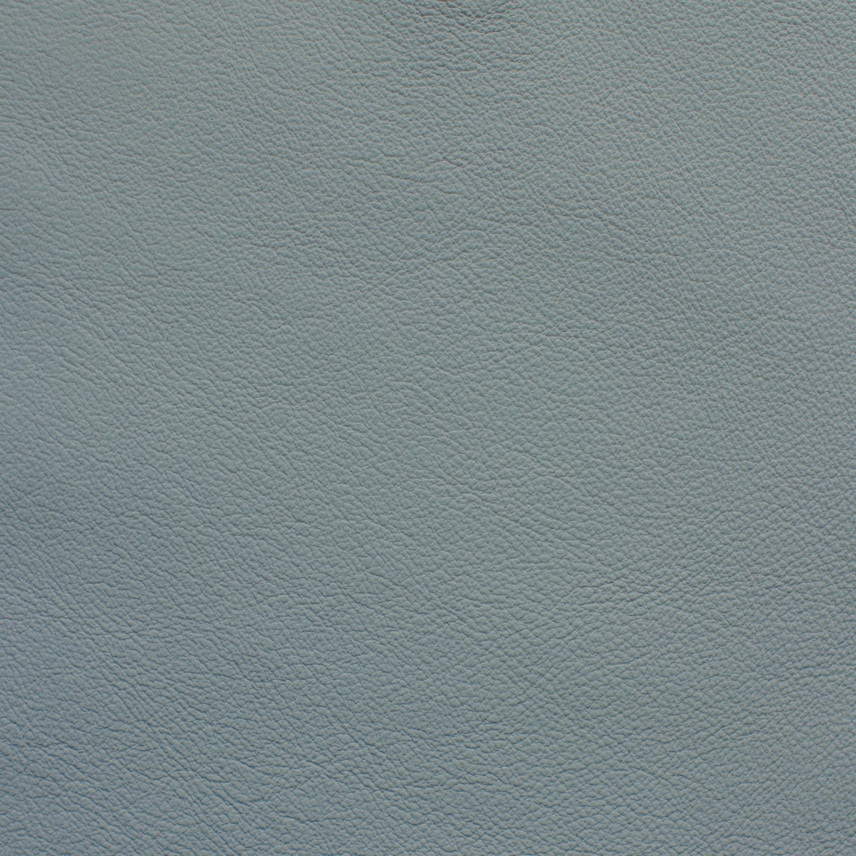 Desirabull - Cornflower