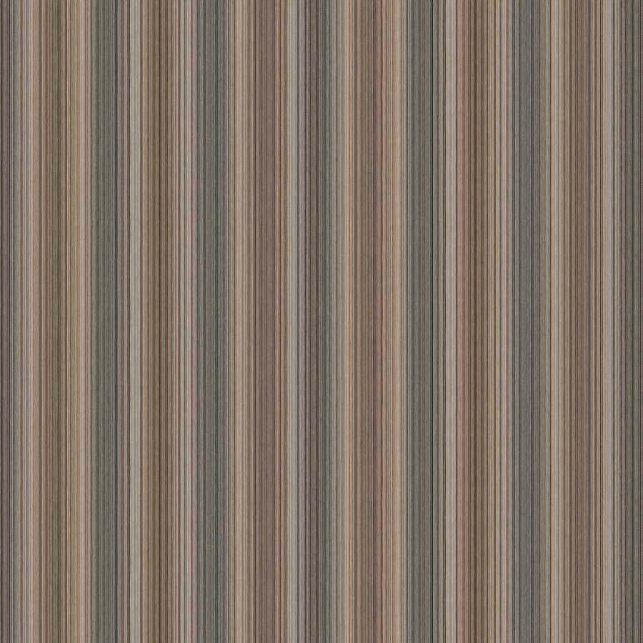 OD Joaquina - Neutral