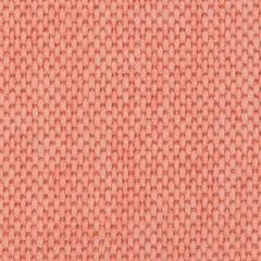 Chaine - Peach Blossom