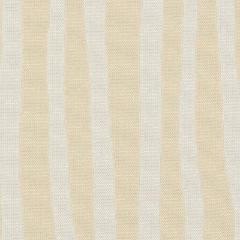Glant Outdoor Abstract Stripe - Bone