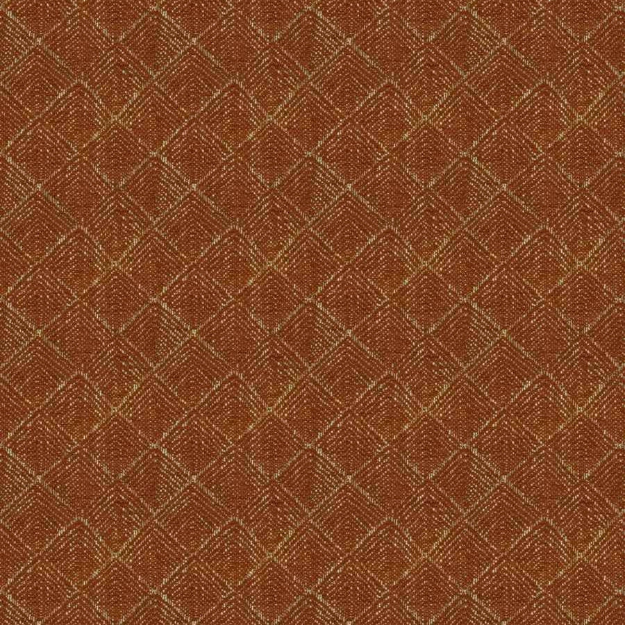 Daintree - Tangerine