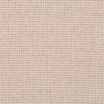 Palm Beach Grid - Pink