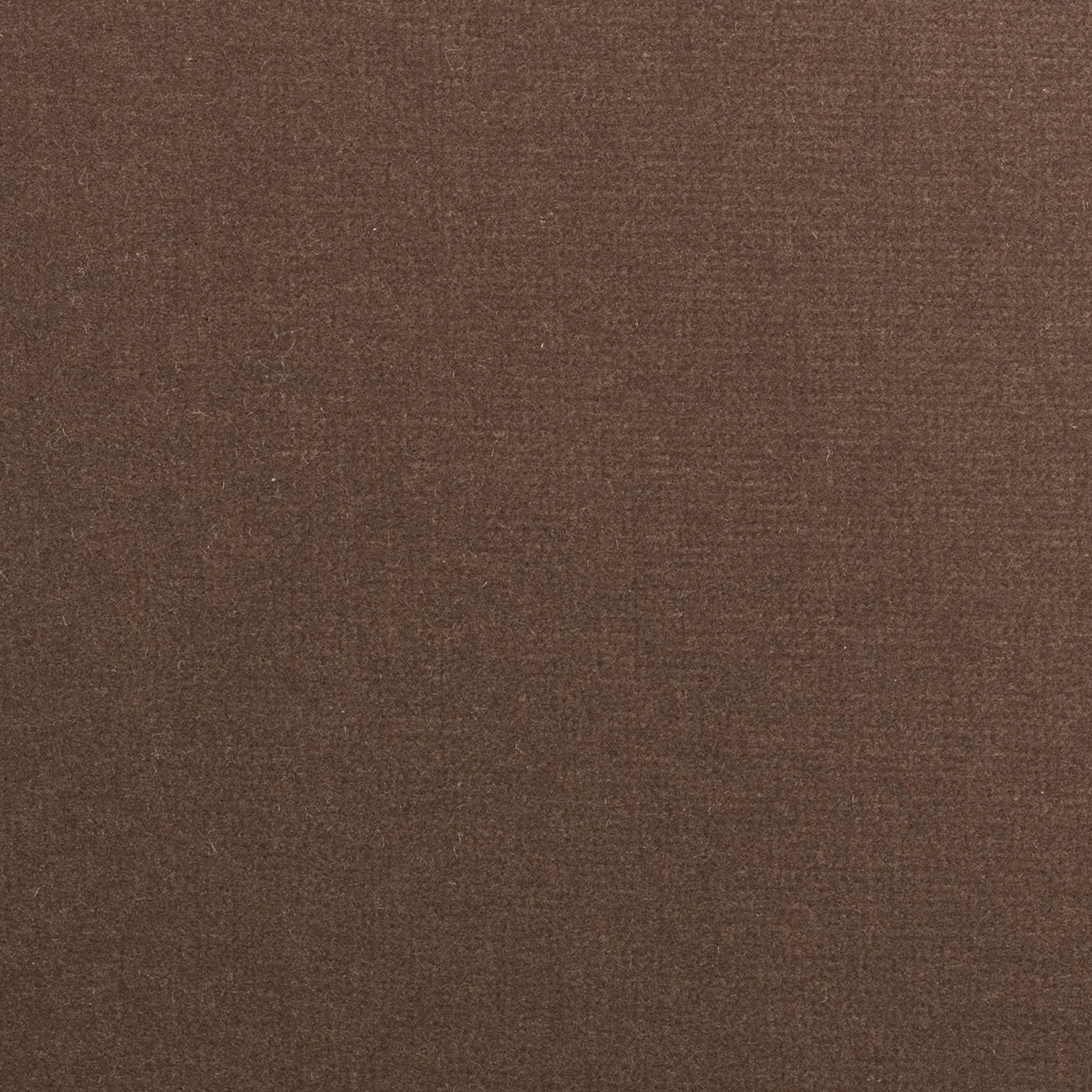 Adamo & Eva - Argile