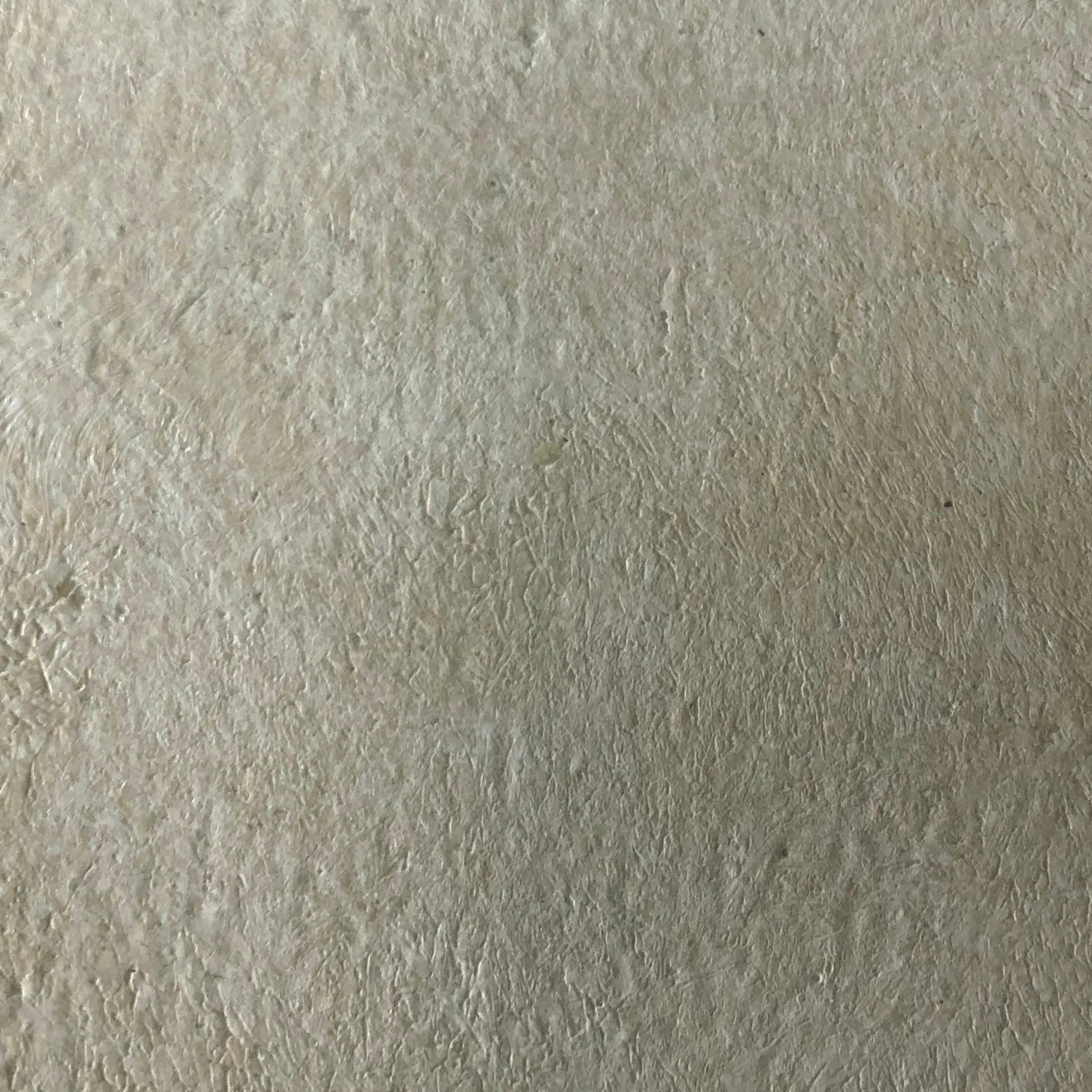 Painted Finishes - Aged Plaster