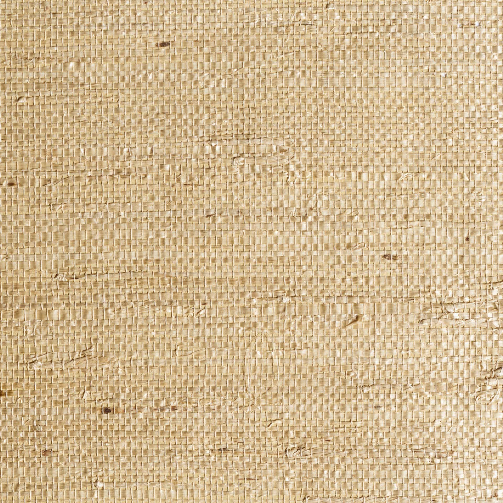 Arrowroot Dried Tendril