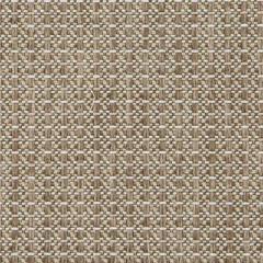 Glant Outdoor Mosaic - Limestone
