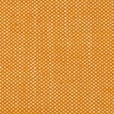 Palm Beach - Apricot