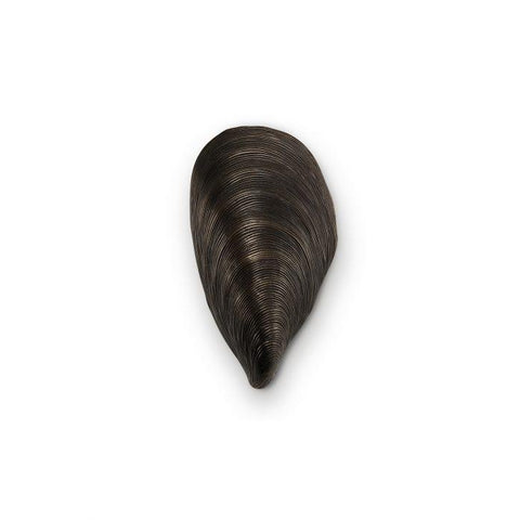 Mussel Shell Bathroom Wall Light - Bronze