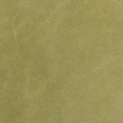 Bella Pelle - Celery