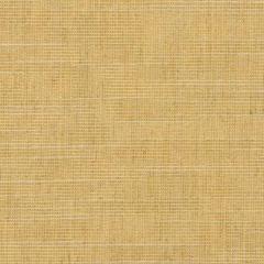 Couture Fine Tweed N.6 - Parchment