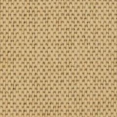 Chaine - Cashew/Ebony