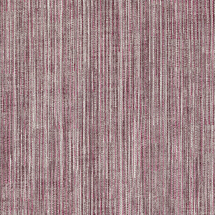 Carskiey Plain CARS-005