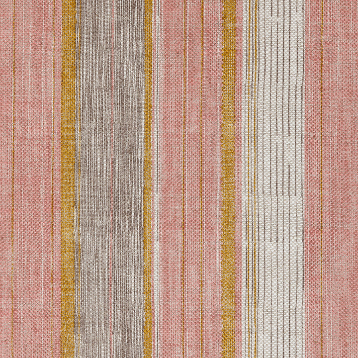 Carskiey Broad Stripe CARS-007